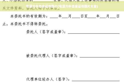 屯溪六中毕业证书图片(屯溪六中毕业证书图片大全)