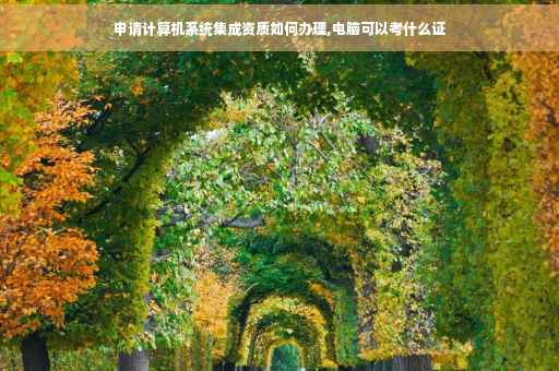 申请计算机系统集成资质如何办理,电脑可以考什么证
