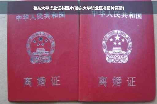 鲁东大学毕业证书图片(鲁东大学毕业证书图片高清)