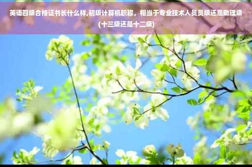 英语四级合格证书长什么样,初级计算机职称，相当于专业技术人员员级还是助理级(十三级还是十二级)