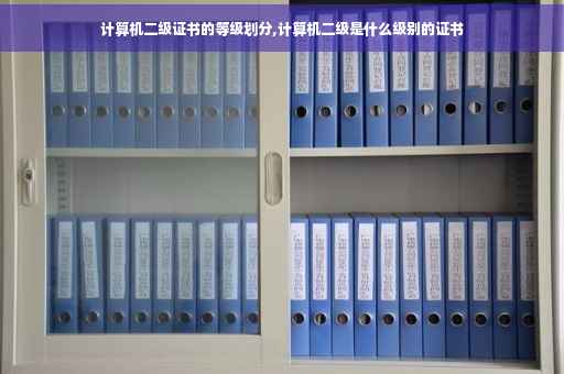 计算机二级证书的等级划分,计算机二级是什么级别的证书