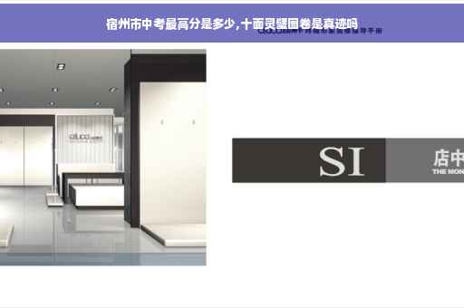 宿州市中考最高分是多少,十面灵璧图卷是真迹吗