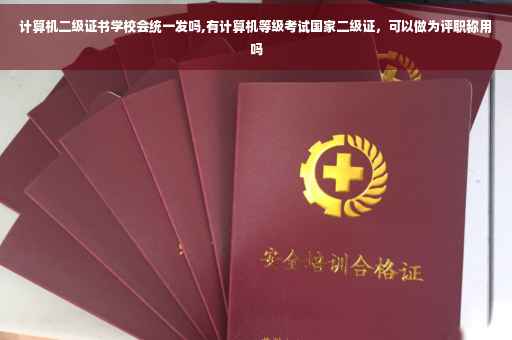 计算机二级证书学校会统一发吗,有计算机等级考试国家二级证，可以做为评职称用吗