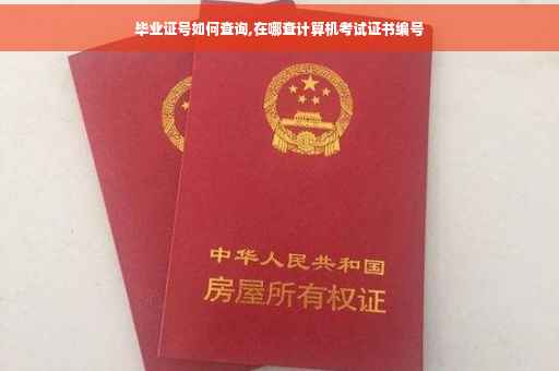 毕业证号如何查询,在哪查计算机考试证书编号