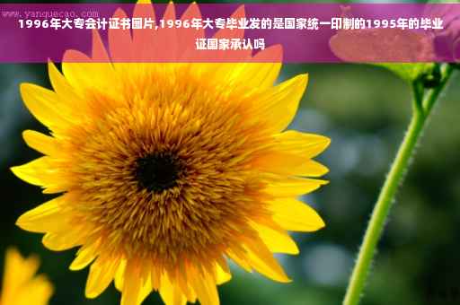1996年大专会计证书图片,1996年大专毕业发的是国家统一印制的1995年的毕业证国家承认吗