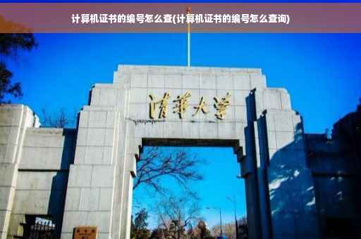 计算机证书的编号怎么查(计算机证书的编号怎么查询)
