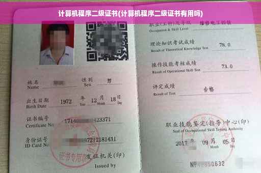 计算机程序二级证书(计算机程序二级证书有用吗)