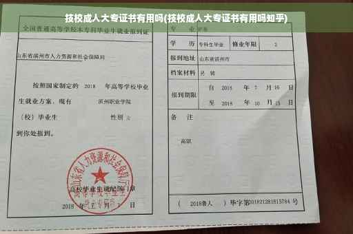 技校成人大专证书有用吗(技校成人大专证书有用吗知乎)
