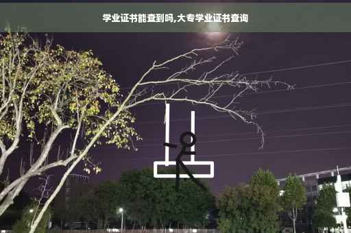 学业证书能查到吗,大专学业证书查询
