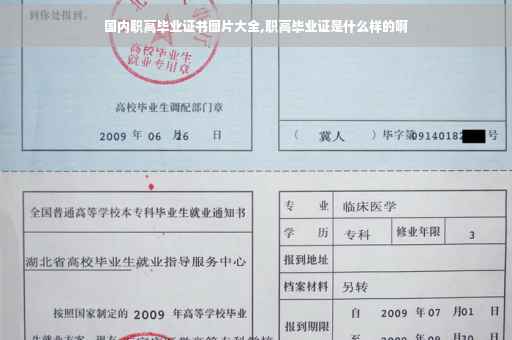 国内职高毕业证书图片大全,职高毕业证是什么样的啊