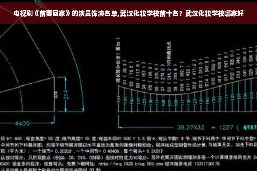 电视剧《前妻回家》的演员饰演名单,武汉化妆学校前十名？武汉化妆学校哪家好