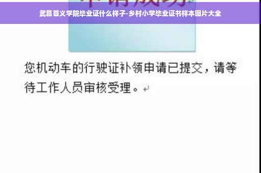 武昌首义学院毕业证什么样子-乡村小学毕业证书样本图片大全