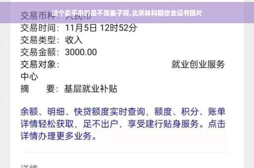 这个卖手串的是不是骗子呀,北京林科院毕业证书图片