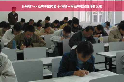 计算机1+x证书考试内容-计算机一级证书选择题库怎么选