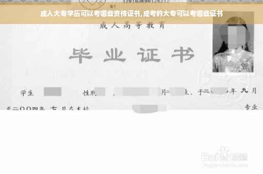 成人大专学历可以考哪些资格证书,成考的大专可以考哪些证书