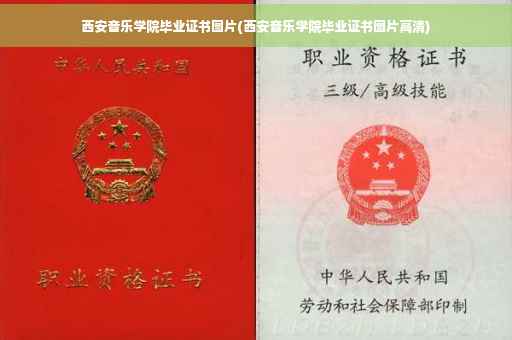 西安音乐学院毕业证书图片(西安音乐学院毕业证书图片高清)