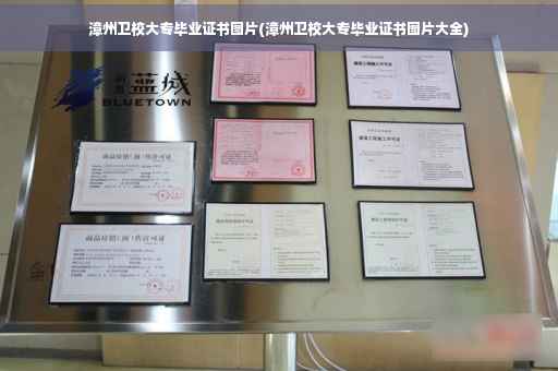 漳州卫校大专毕业证书图片(漳州卫校大专毕业证书图片大全)
