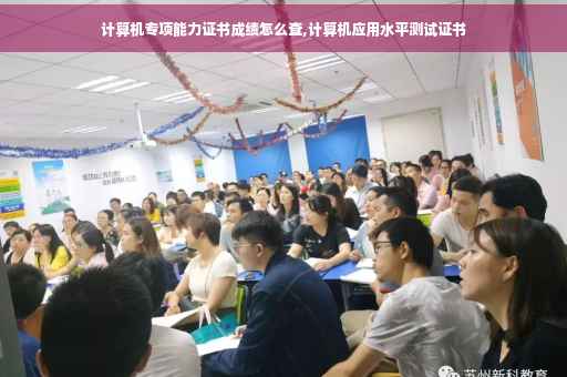 计算机专项能力证书成绩怎么查,计算机应用水平测试证书