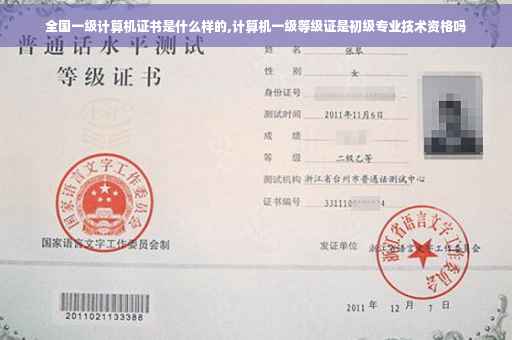 全国一级计算机证书是什么样的,计算机一级等级证是初级专业技术资格吗