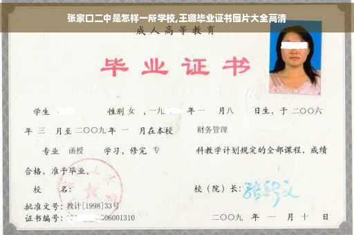 张家口二中是怎样一所学校,王璐毕业证书图片大全高清