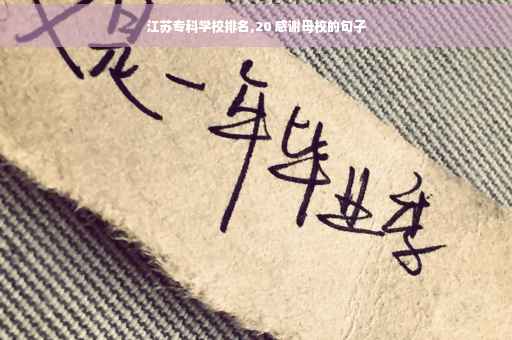 江苏专科学校排名,20 感谢母校的句子