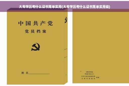大专学历考什么证书简单实用(大专学历考什么证书简单实用些)