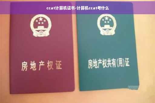 ccat计算机证书-计算机ccat考什么
