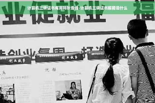 计算机三级证书有用吗张雪峰-计算机三级证书解释是什么