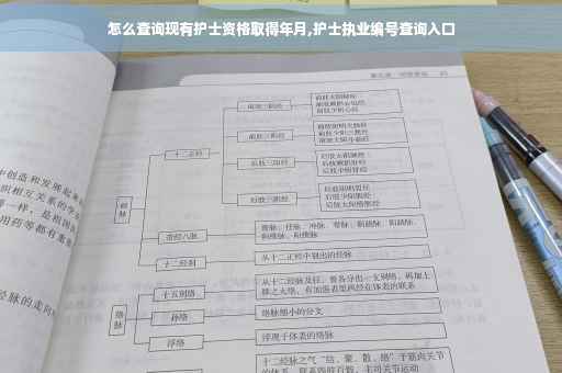 怎么查询现有护士资格取得年月,护士执业编号查询入口