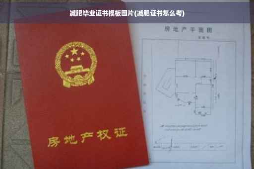 减肥毕业证书模板图片(减肥证书怎么考)