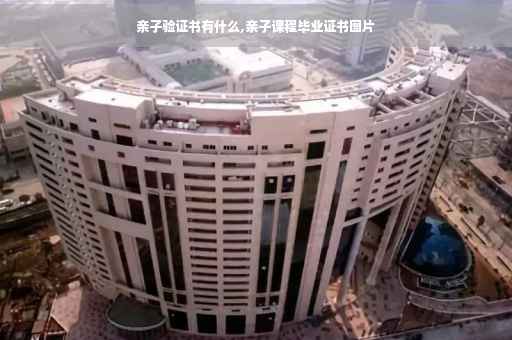 亲子验证书有什么,亲子课程毕业证书图片