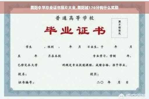 舞阳中学毕业证书图片大全,舞阳城170分有什么奖励