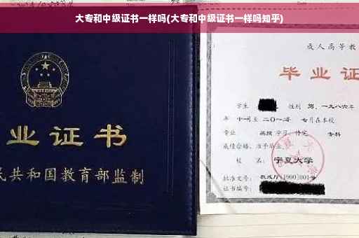 大专和中级证书一样吗(大专和中级证书一样吗知乎)