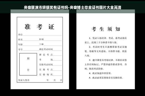 央音展演市级银奖有证书吗-央音博士毕业证书图片大全高清