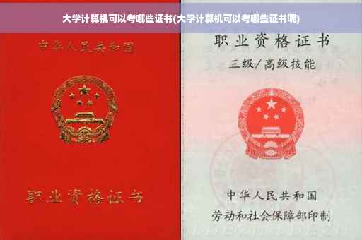 大学计算机可以考哪些证书(大学计算机可以考哪些证书呢)