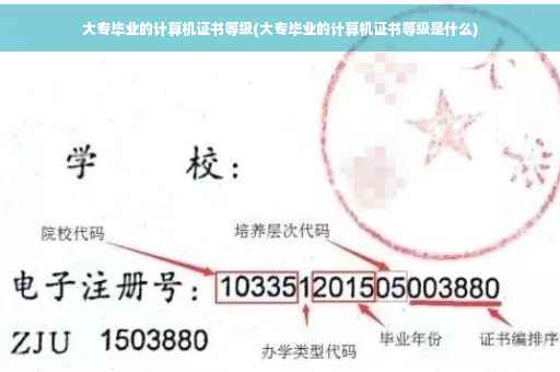 大专毕业的计算机证书等级(大专毕业的计算机证书等级是什么) 大专毕业的计算机证书等级(大专毕业的计算机证书等级是什么)