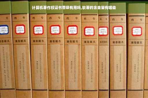计算机著作权证书晋级有用吗,软著的含金量有哪些