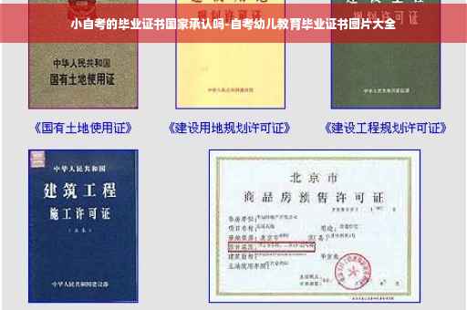 小自考的毕业证书国家承认吗-自考幼儿教育毕业证书图片大全