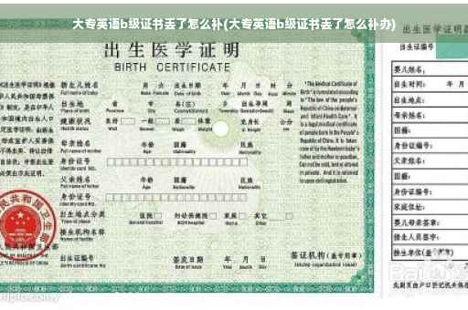大专英语b级证书丢了怎么补(大专英语b级证书丢了怎么补办)