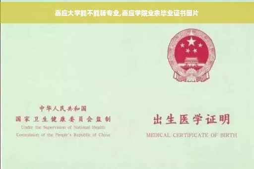 嘉应大学能不能转专业,嘉应学院业余毕业证书图片