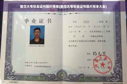 新华大专毕业证书图片样本(新华大专毕业证书图片样本大全)