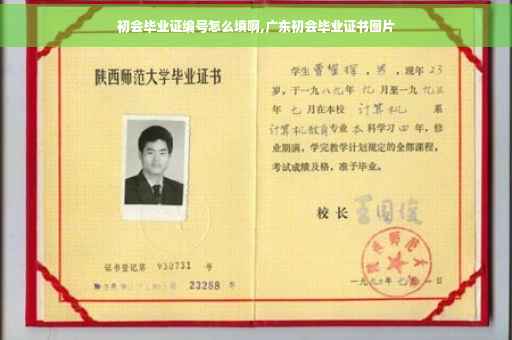 初会毕业证编号怎么填啊,广东初会毕业证书图片