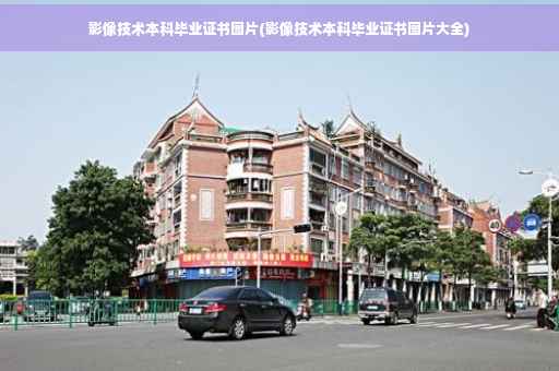 影像技术本科毕业证书图片(影像技术本科毕业证书图片大全)