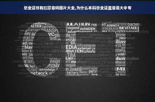 毕业证书有红印章吗图片大全,为什么本科毕业证盖章是大中专