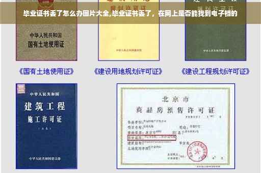 毕业证书丢了怎么办图片大全,毕业证书丢了，在网上是否能找到电子档的