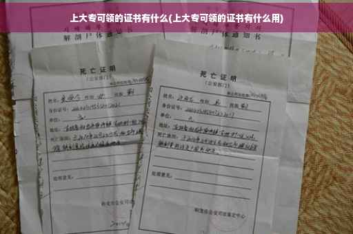 上大专可领的证书有什么(上大专可领的证书有什么用)