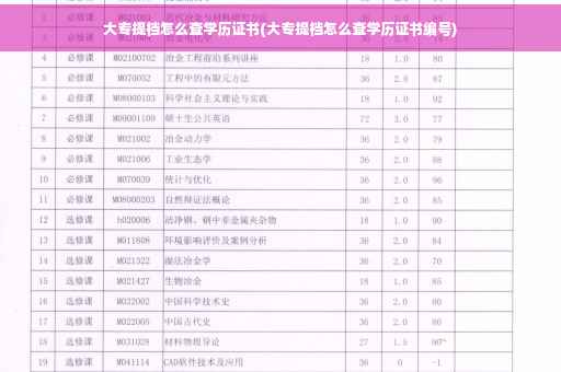 大专提档怎么查学历证书(大专提档怎么查学历证书编号)