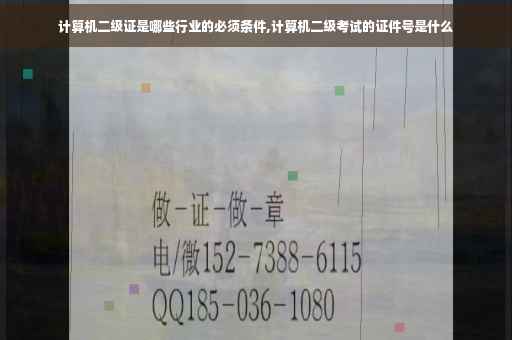 计算机二级证是哪些行业的必须条件,计算机二级考试的证件号是什么
