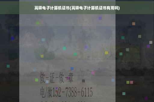 高级电子计算机证书(高级电子计算机证书有用吗)