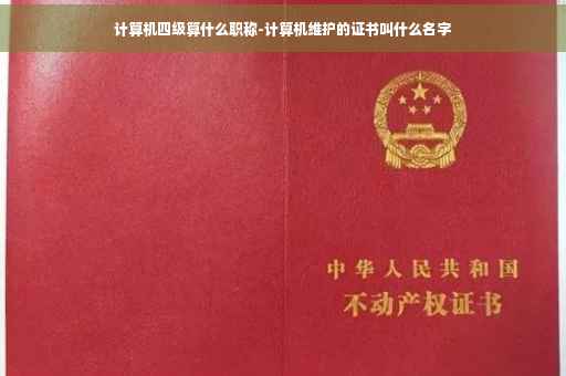 计算机四级算什么职称-计算机维护的证书叫什么名字